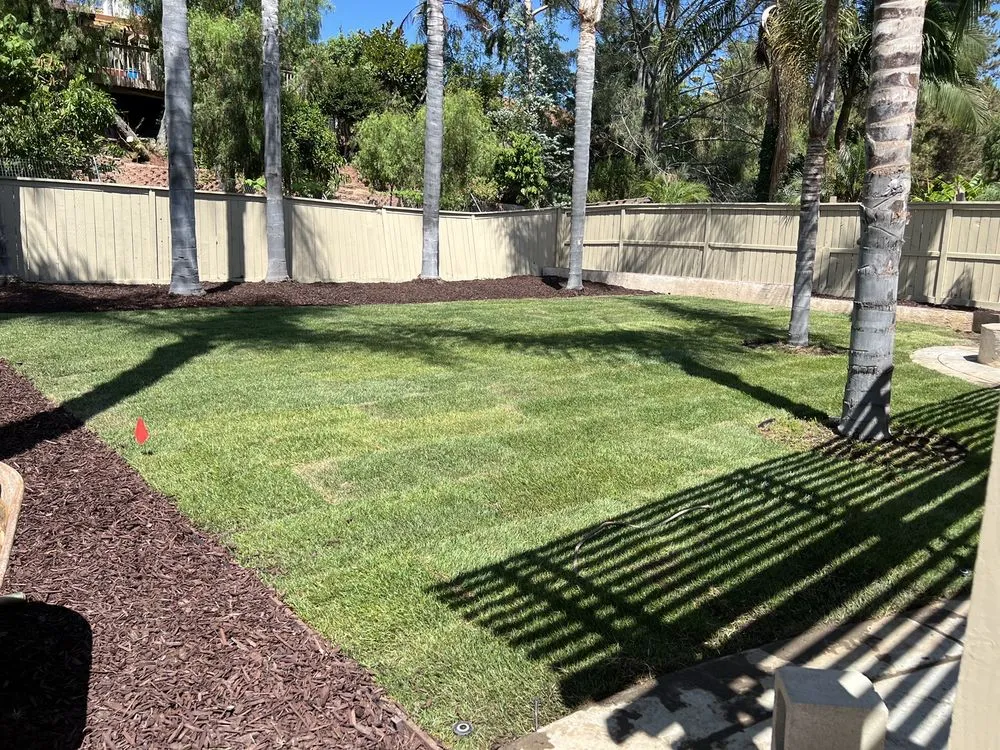 Professional yard cleanup service with custom design across Escondido, CA - Active Lawn Care