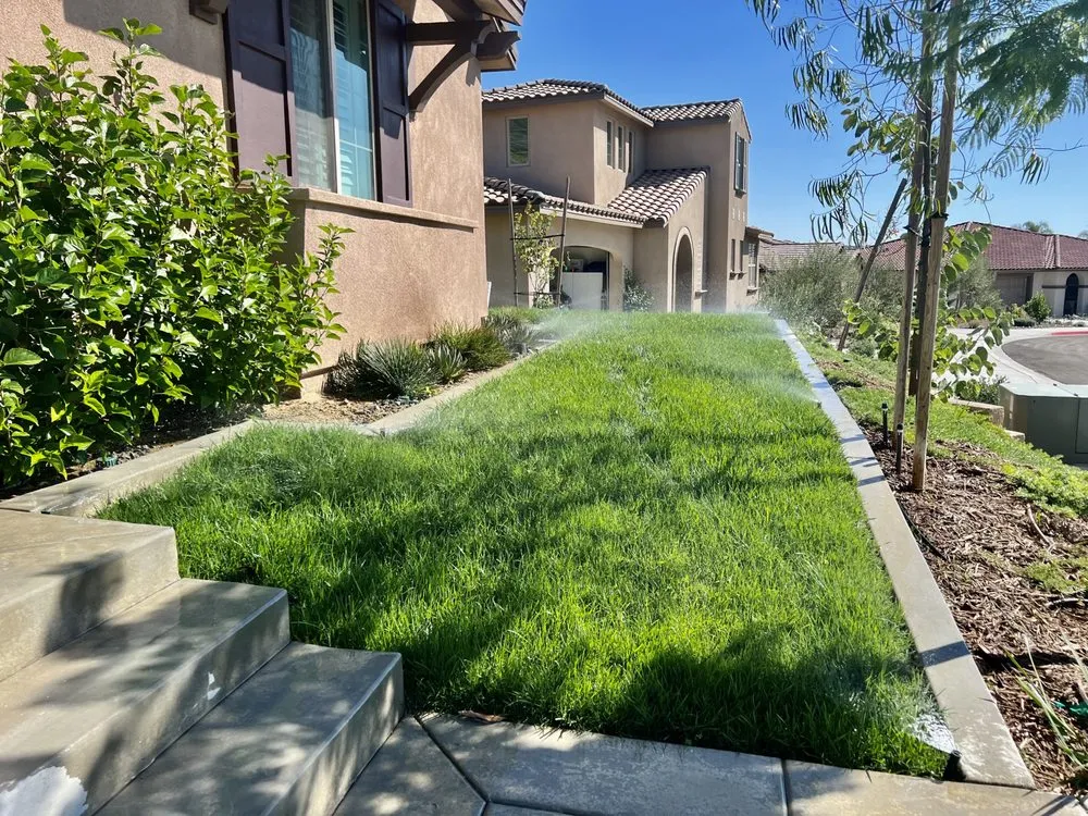 Reliable yard cleanup service in Escondido, CA - Active Lawn Care