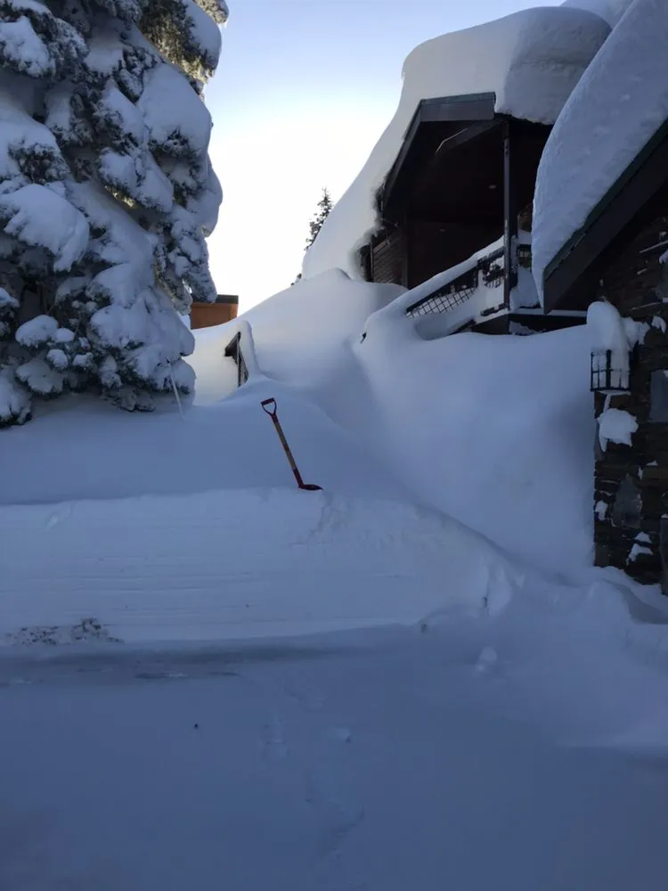 Trusted yard cleanup service in Truckee, CA - Active Tree and Yard Service