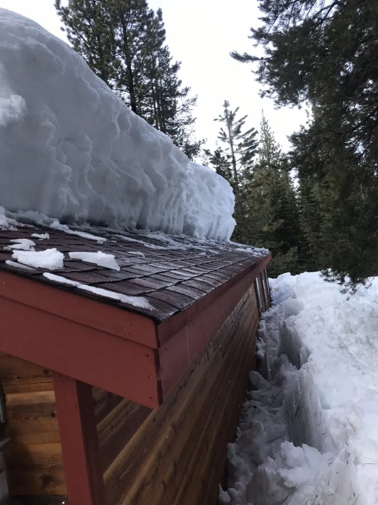 Reliable lawn care service experts serving Truckee, CA - Active Tree and Yard Service