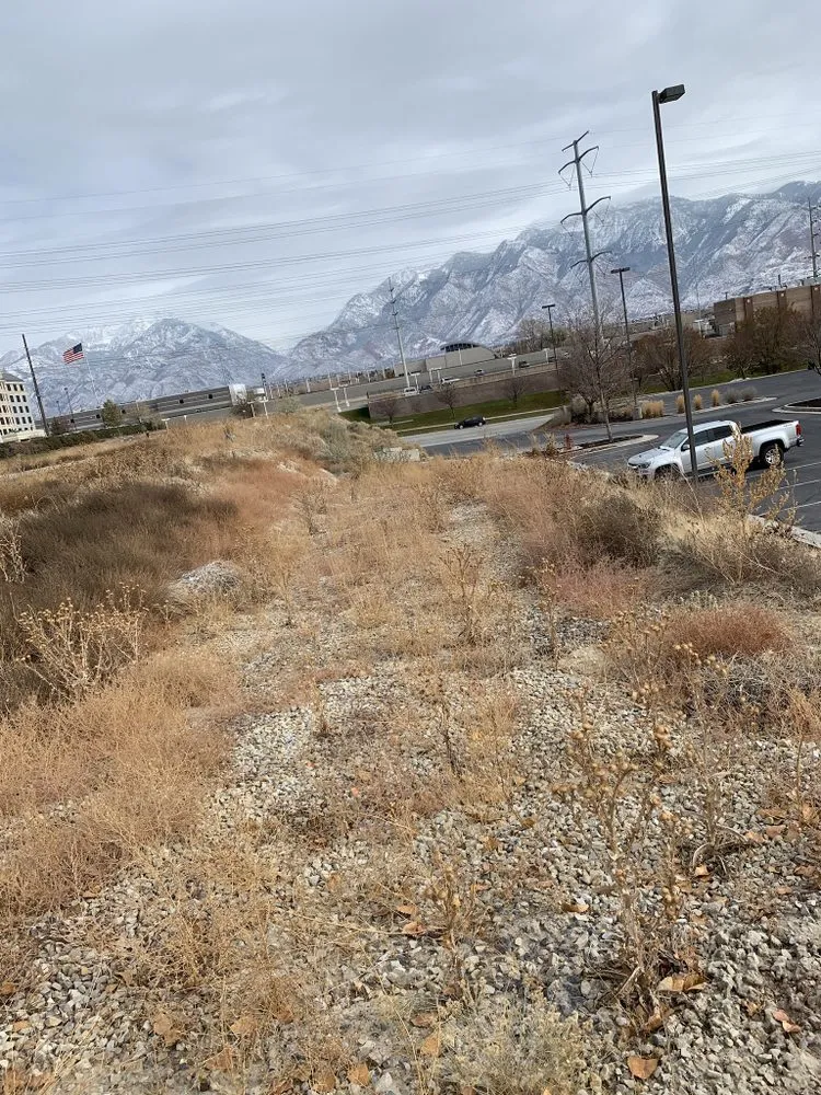 Expert lawn mowing service experts serving Holladay, UT - Activescapes Landscaping and Snow Removal