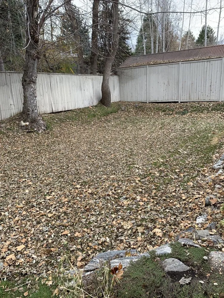 Expert landscaping services for year-round maintenance in Holladay, UT by Activescapes Landscaping and Snow Removal