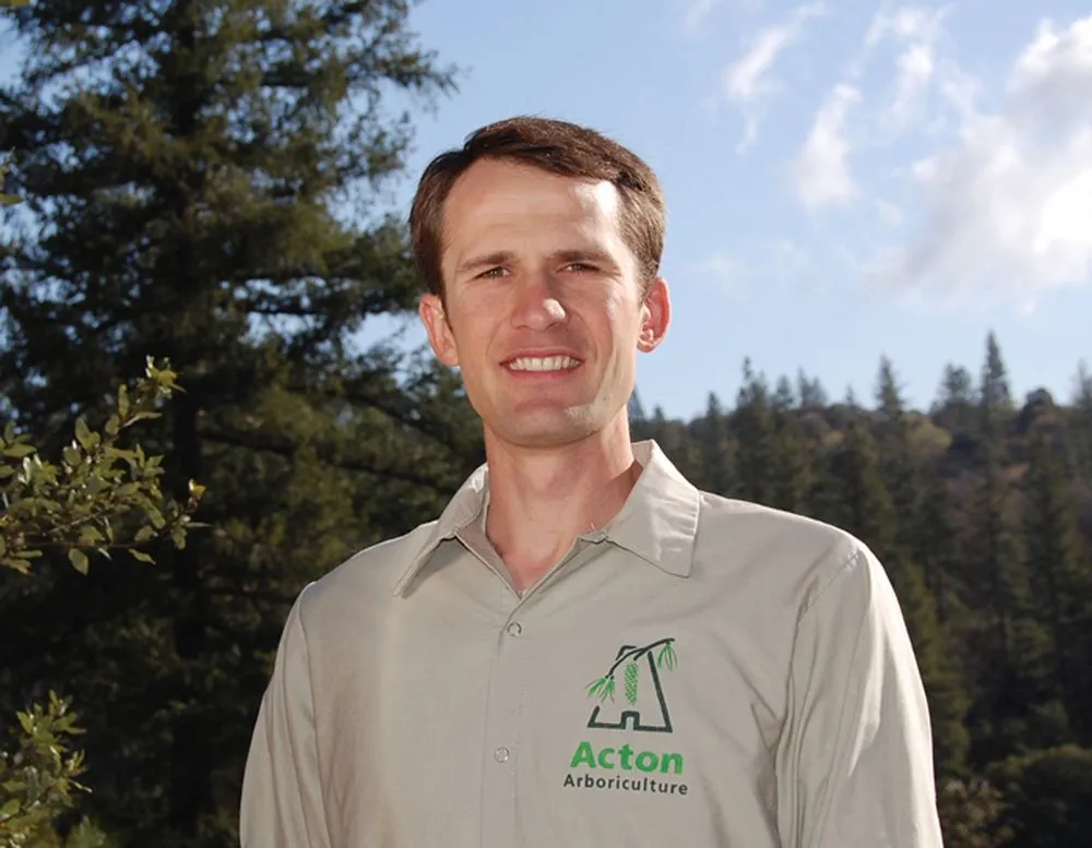 Local yard cleanup service for year-round maintenance in Grass Valley, CA by Acton Arboriculture, Inc.