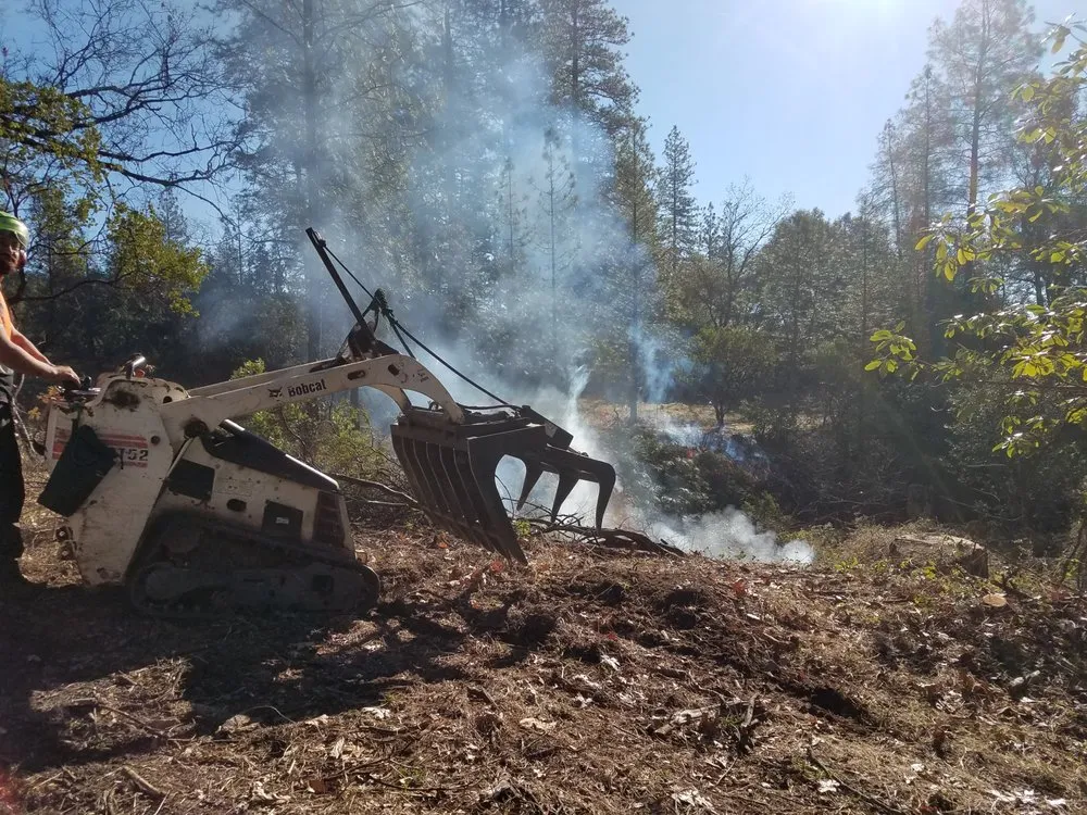 Reliable outdoor landscaping for year-round maintenance across Grass Valley, CA - Acton Arboriculture, Inc.