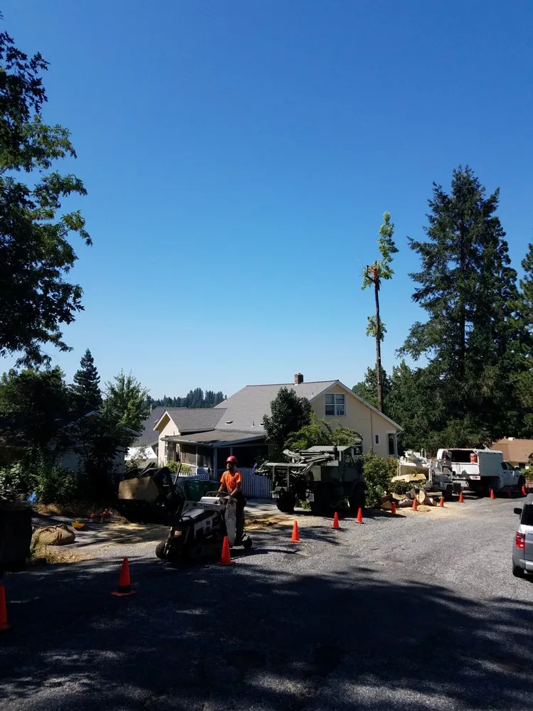 Top-rated landscaping services in Grass Valley, CA by Acton Arboriculture, Inc.