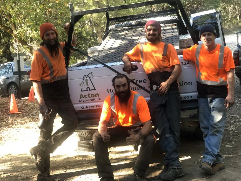 Professional yard maintenance with custom design across Grass Valley, CA - Acton Arboriculture, Inc.