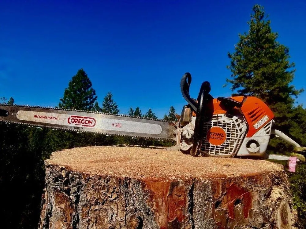 Reliable yard cleanup service for year-round maintenance across Grass Valley, CA - Acton Arboriculture, Inc.