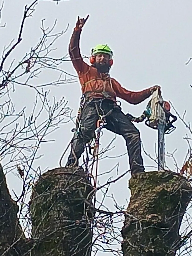 Custom garden landscaping for year-round maintenance across Grass Valley, CA - Acton Arboriculture, Inc.