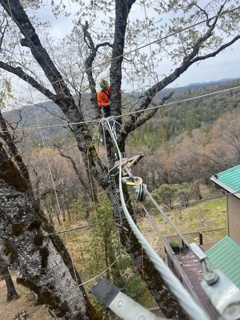 Reliable residential landscaping with custom design across Grass Valley, CA - Acton Arboriculture, Inc.