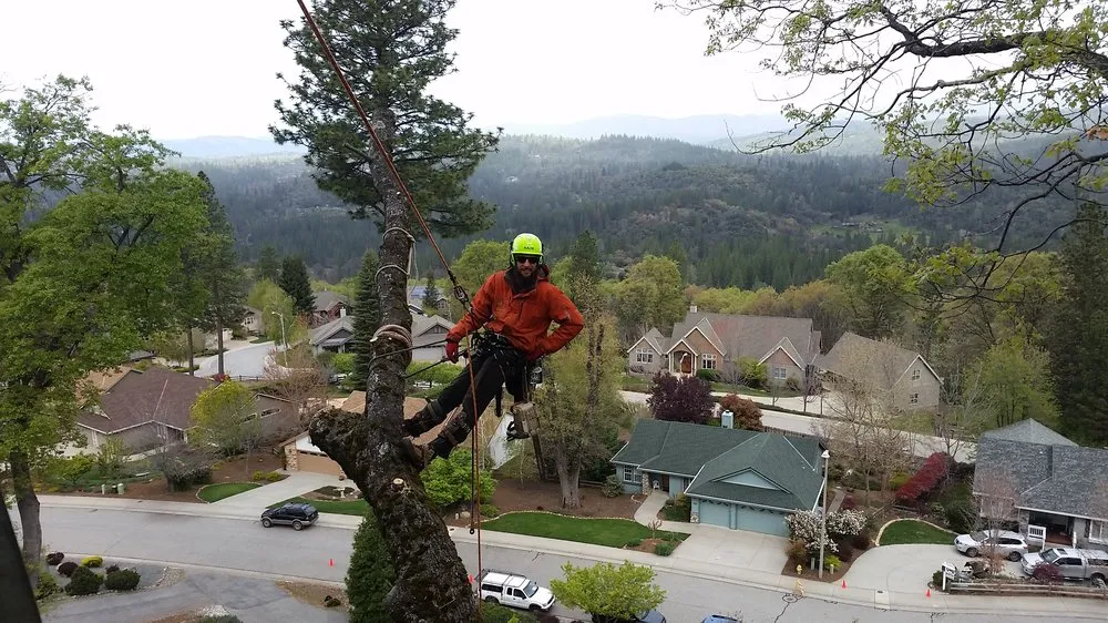 Reliable landscape installation with custom design across Grass Valley, CA - Acton Arboriculture, Inc.