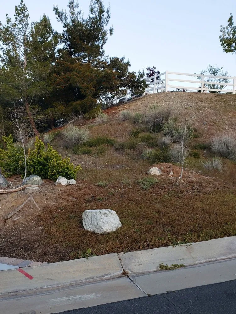 Local yard maintenance for outdoor upgrades across Acton, CA - Acton Firewood and Nursery