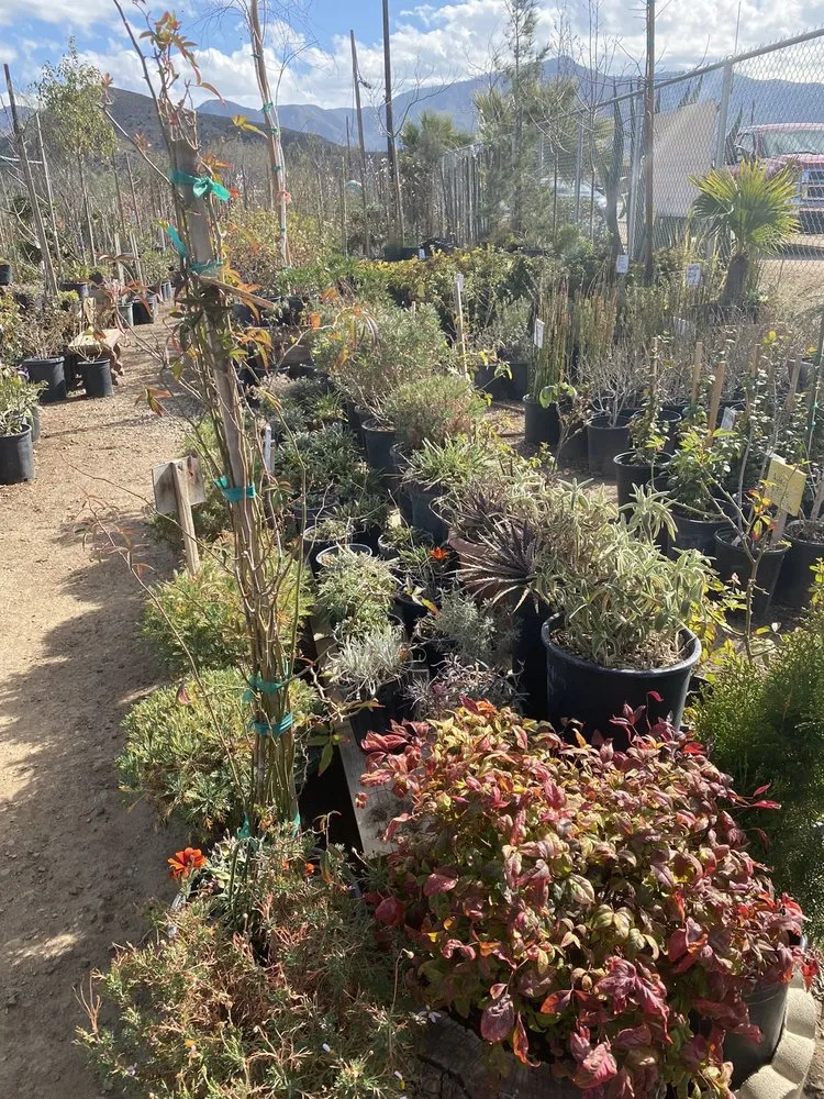 Trusted landscaping services in Acton, CA - Acton Firewood and Nursery