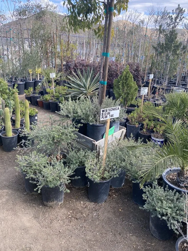 Trusted lawn care service experts serving Acton, CA - Acton Firewood and Nursery