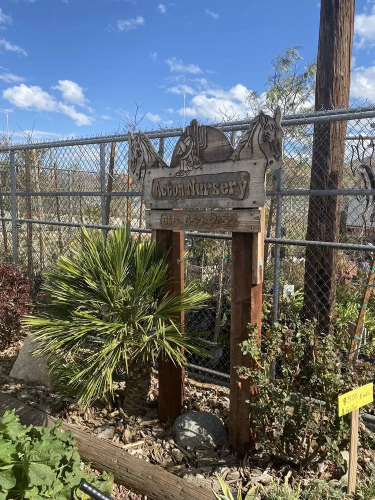 Top-rated lawn care service in Acton, CA - Acton Firewood and Nursery