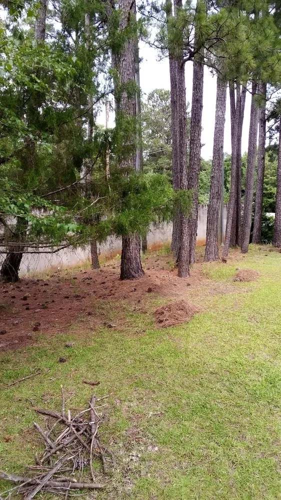 Reliable lawn care service in Opelika, AL by Acton's Handyman and Lawn Care Services