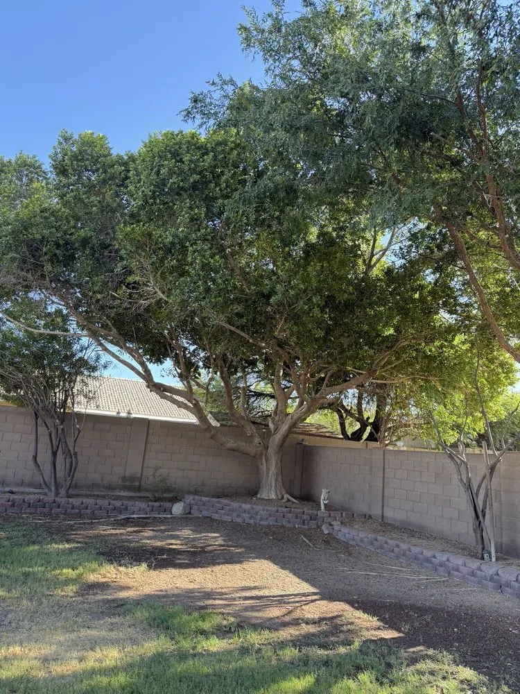 Top-rated garden landscaping in Mesa, AZ by Acuña Tree Services & Landscaping