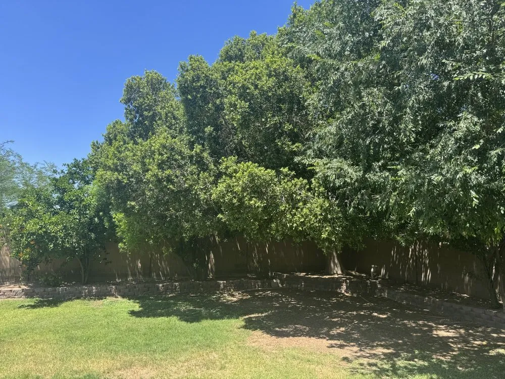 Local landscaping services experts serving Mesa, AZ - Acuña Tree Services & Landscaping