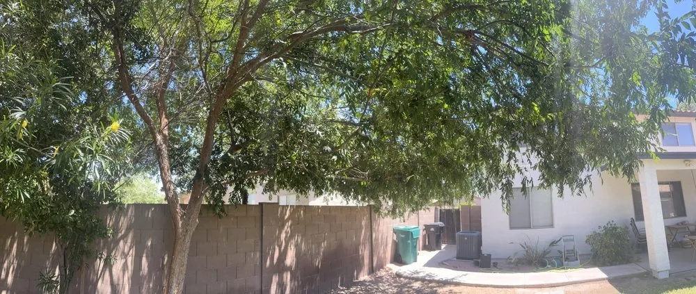 Trusted landscape installation in Mesa, AZ by Acuña Tree Services & Landscaping