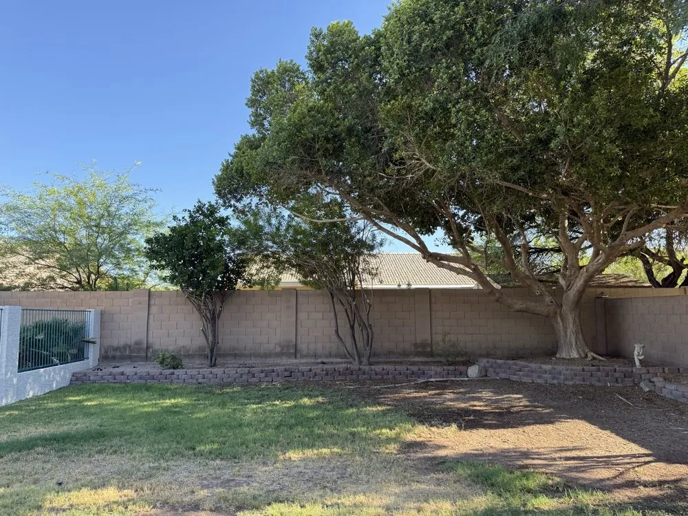 Top-rated lawn care service in Mesa, AZ by Acuña Tree Services & Landscaping