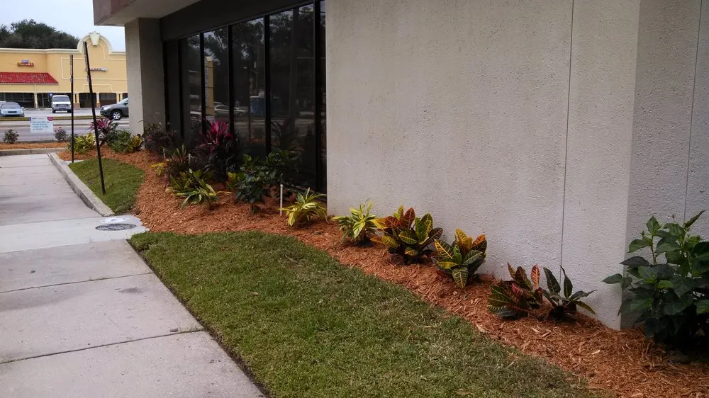 Custom residential landscaping experts serving Jacksonville, FL - Acucut Lawn Care & Design