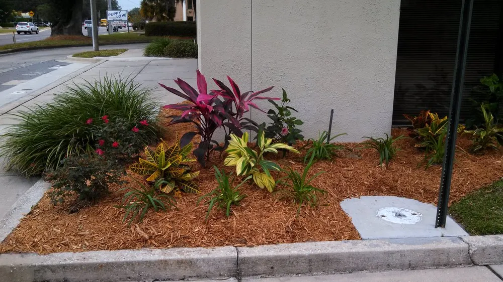 Professional garden landscaping in Jacksonville, FL - Acucut Lawn Care & Design