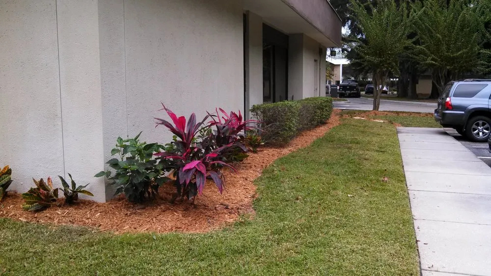 Trusted outdoor landscaping with custom design in Jacksonville, FL by Acucut Lawn Care & Design