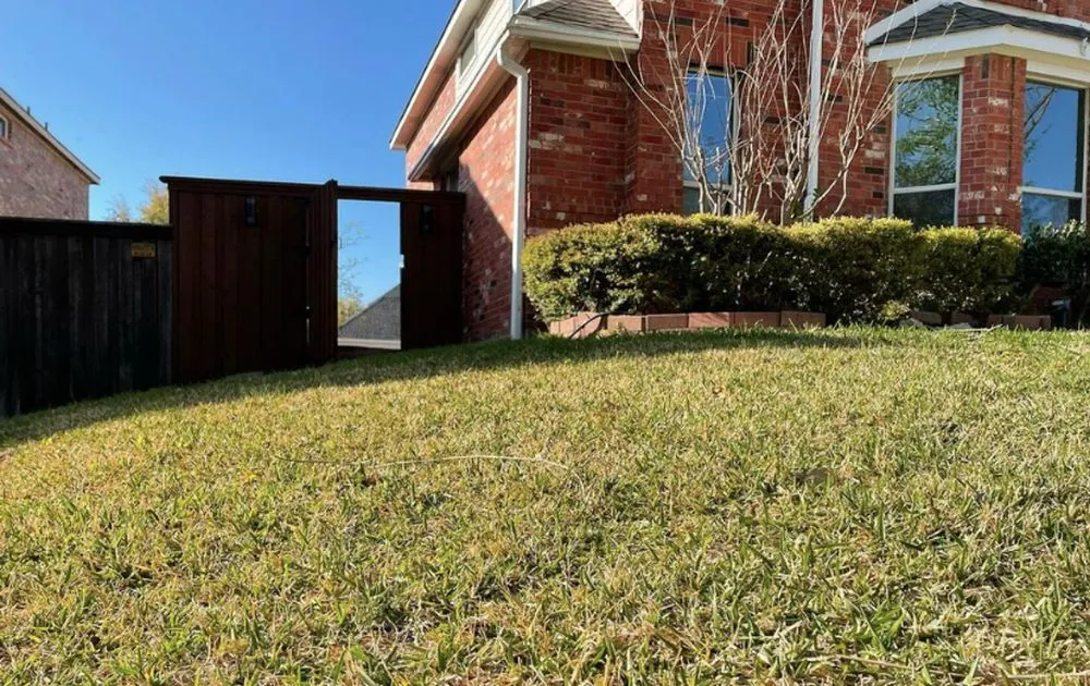 Professional landscape installation in Allen, TX - Acuna Services