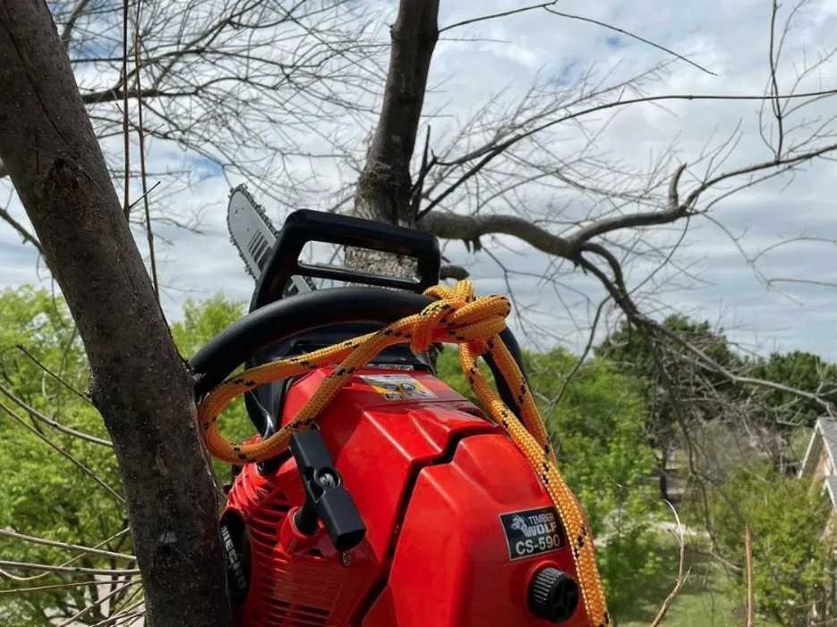 Reliable lawn care service experts serving Allen, TX - Acuna Services