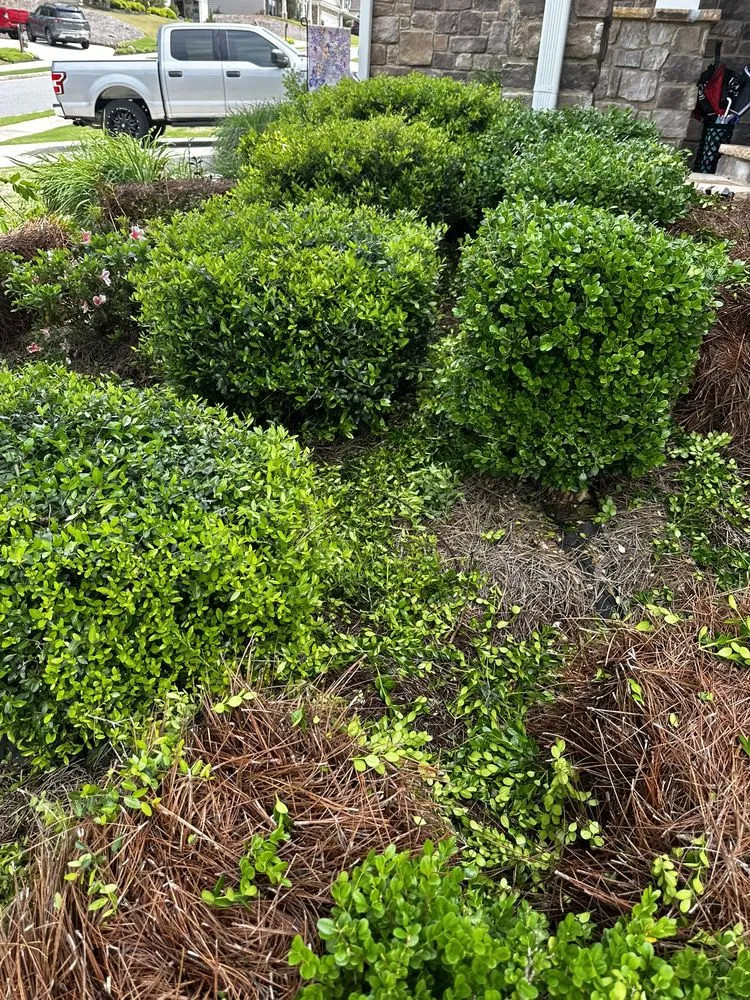 Trusted landscaping services for beautiful yards in Acworth, GA by Acworth Handy Repair