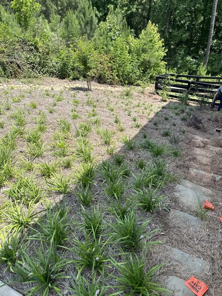 Custom yard maintenance for residential properties in Acworth, GA by Acworth Handy Repair