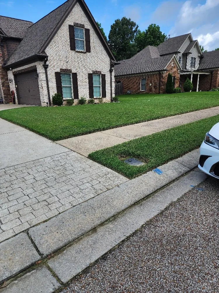 Top-rated residential landscaping in Memphis, MS - AD & Ari lawn care
