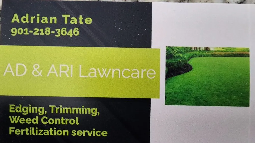 Professional outdoor landscaping with custom design across Memphis, MS - AD & Ari lawn care
