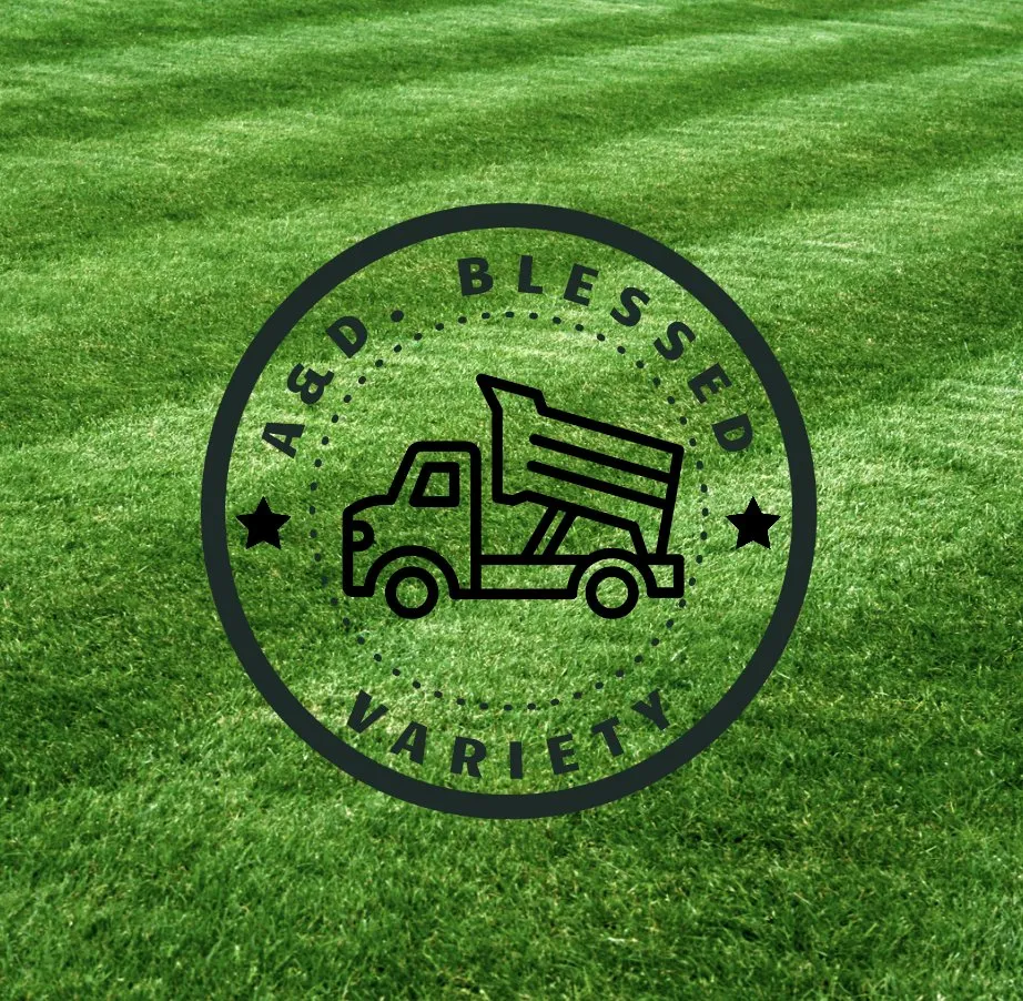 Top-rated yard maintenance experts serving Woodlawn, MD - A&D Blessed Variety