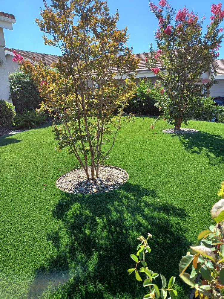 Expert yard cleanup service experts serving Van Nuys, CA - AD Construction