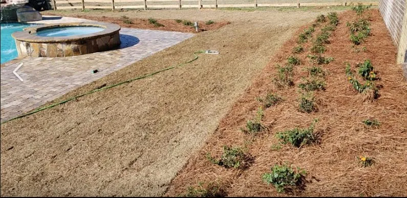 Custom yard maintenance in Mobile, AL by A&D Contracting