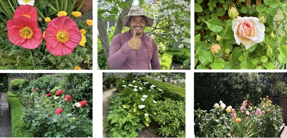 Top-rated lawn care service experts serving Redwood City, CA - AD Garden Service