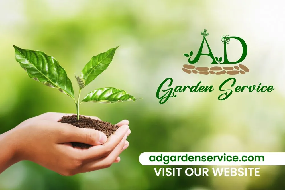 Top-rated landscape installation in Redwood City, CA by AD Garden Service