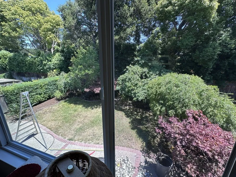 Professional yard cleanup service near you across Redwood City, CA - AD Garden Service