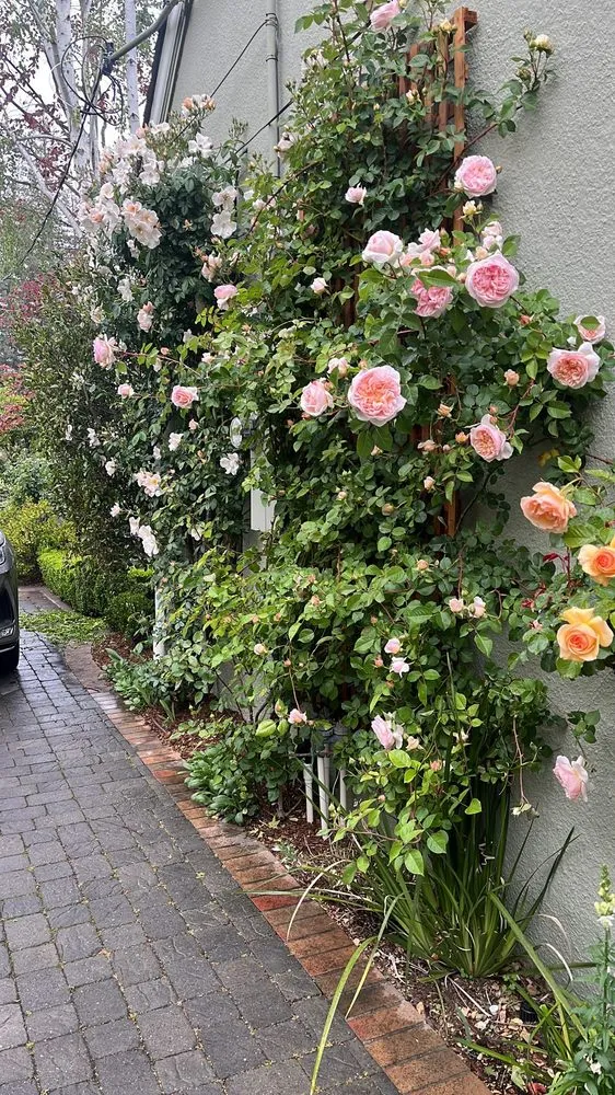 Trusted outdoor landscaping near you across Redwood City, CA - AD Garden Service