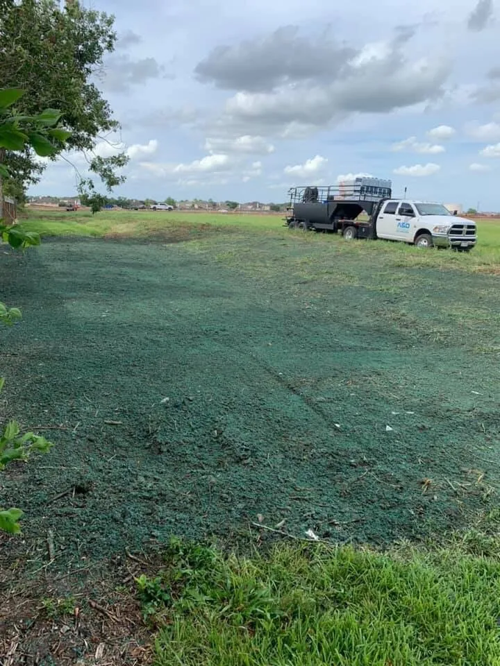 Professional lawn care service for beautiful yards across Magnolia, TX - A&D Hydroseed