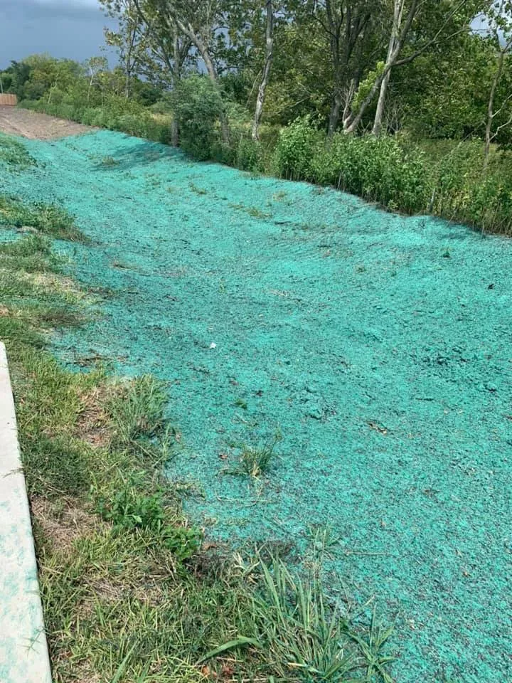 Top-rated outdoor landscaping experts serving Magnolia, TX - A&D Hydroseed