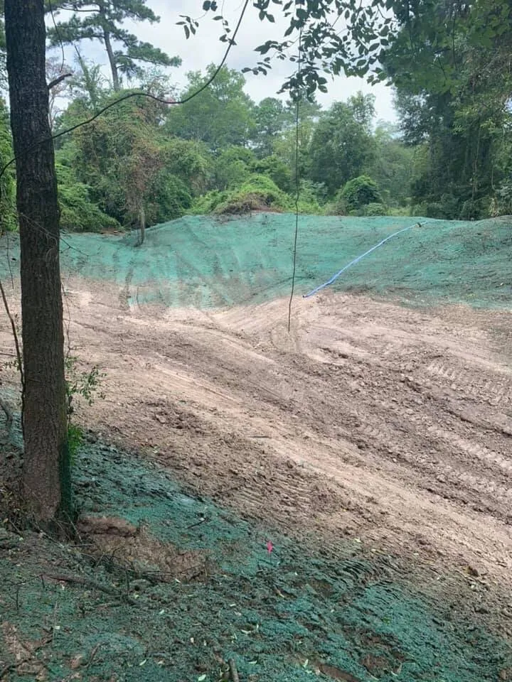 Custom yard maintenance in Magnolia, TX by A&D Hydroseed