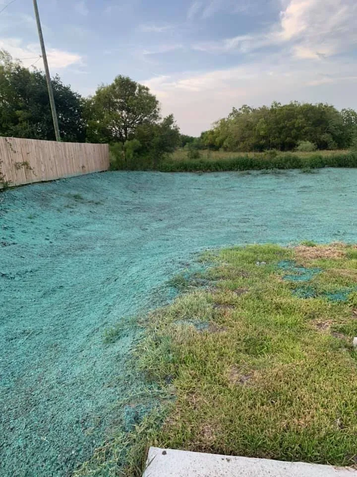 Reliable yard cleanup service near you in Magnolia, TX by A&D Hydroseed