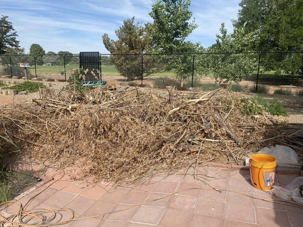 Professional garden landscaping for year-round maintenance across Albuquerque, NM - A&D Junk Removal & Yard Maintenance
