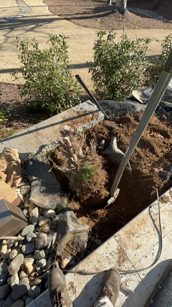 Affordable landscaping services experts serving Zebulon, NC - AD Landscape And Maintenance