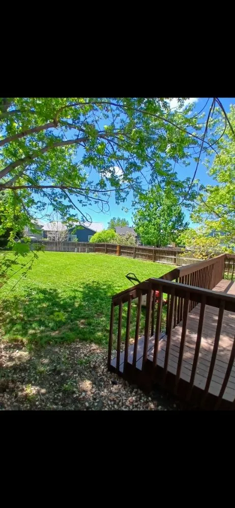 Local lawn mowing service in Denver, CO - AD Landscape