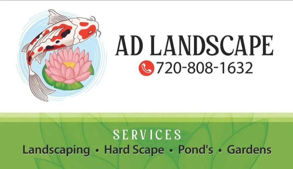 Affordable landscape installation for outdoor upgrades in Denver, CO by AD Landscape