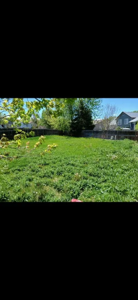 Top-rated outdoor landscaping for beautiful yards in Denver, CO by AD Landscape