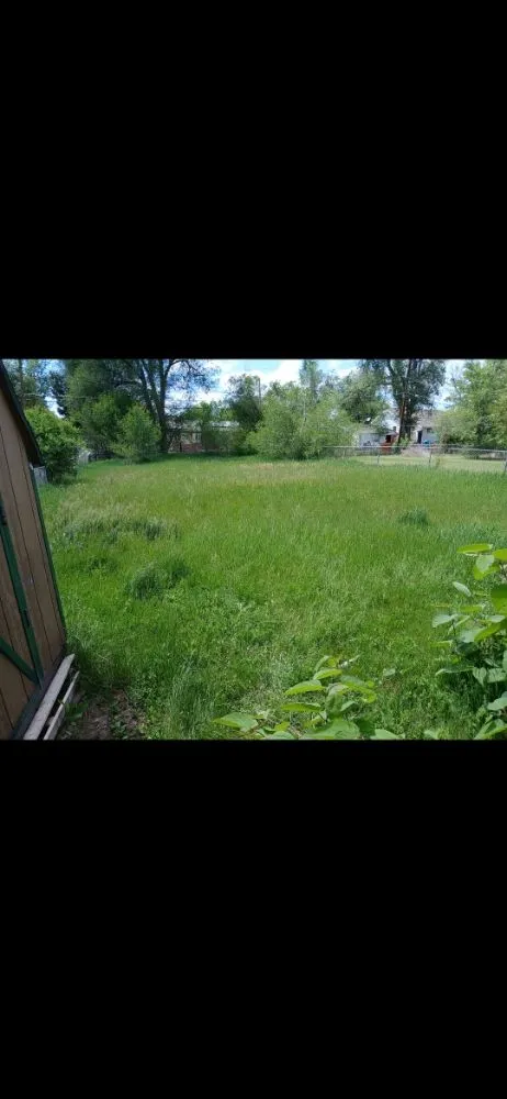 Trusted yard maintenance in Denver, CO - AD Landscape