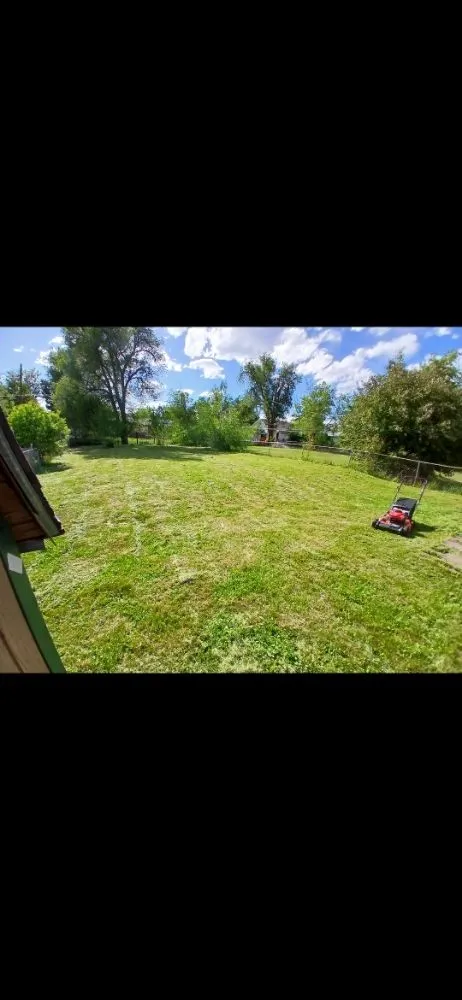 Affordable outdoor landscaping for homes in Denver, CO by AD Landscape